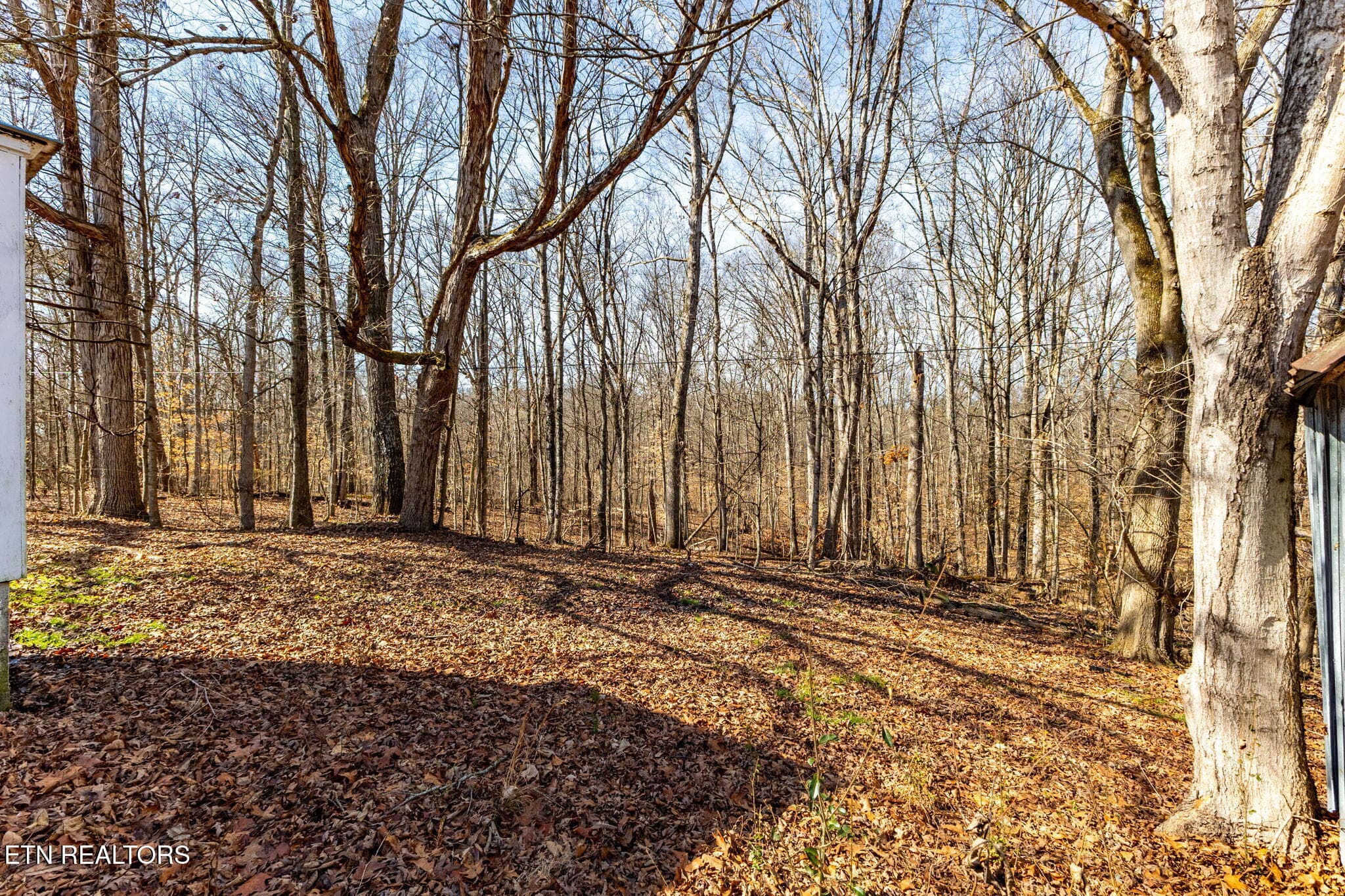 56-web-or-mls-3F1A7465-HDR - 515 Millers Chapel Rd, Greeneville, TN 37745