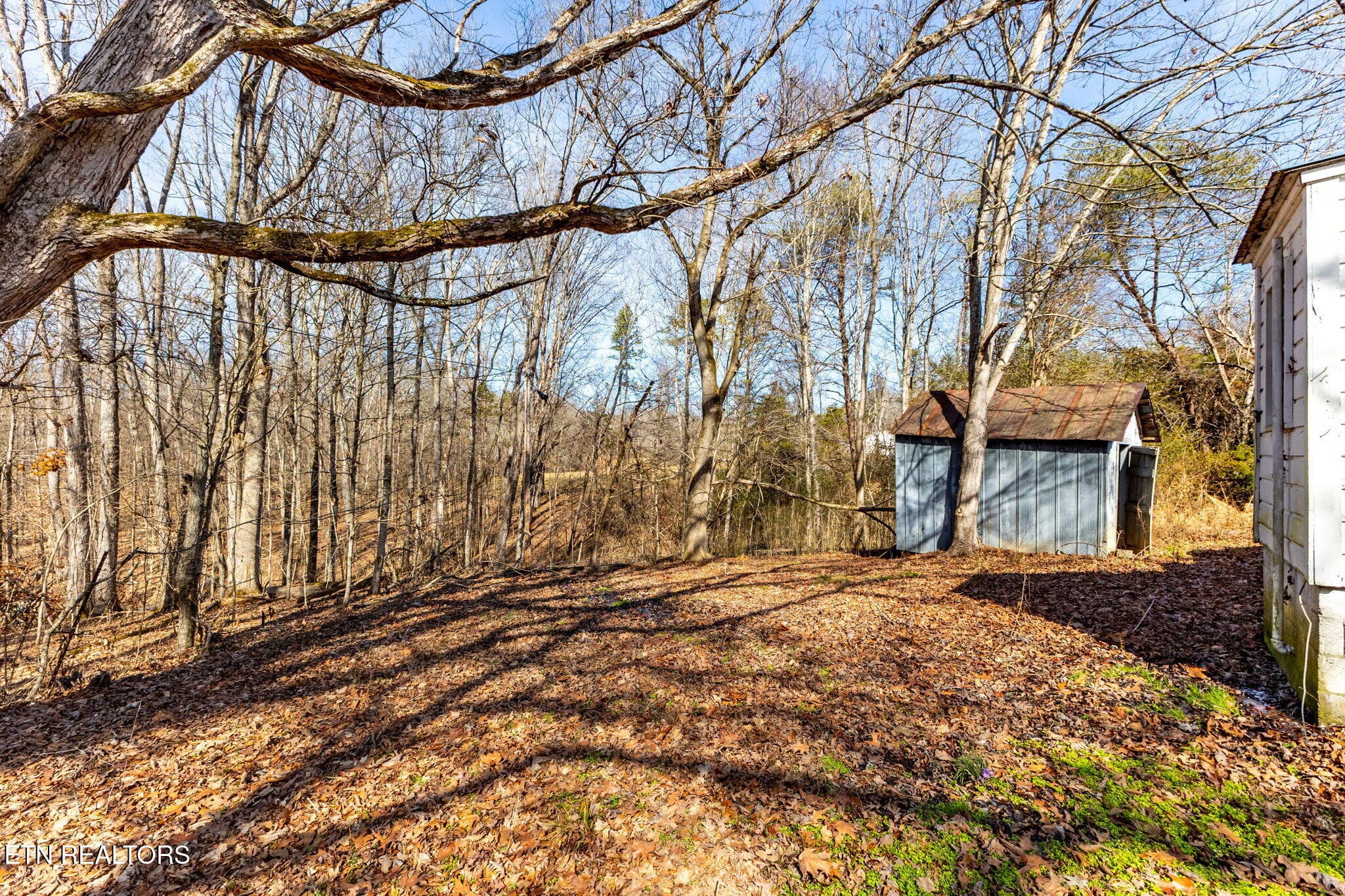 58-web-or-mls-3F1A7471-HDR - 515 Millers Chapel Rd, Greeneville, TN 37745