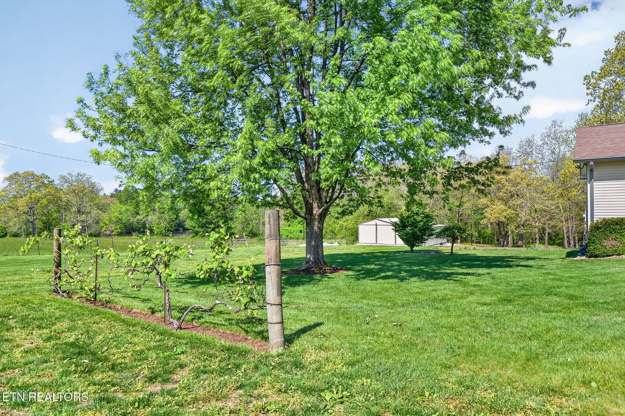 12-web-or-mls-7668 Plateau Rd_058_TNPC - 7668 Plateau Rd, Crossville, TN 38571