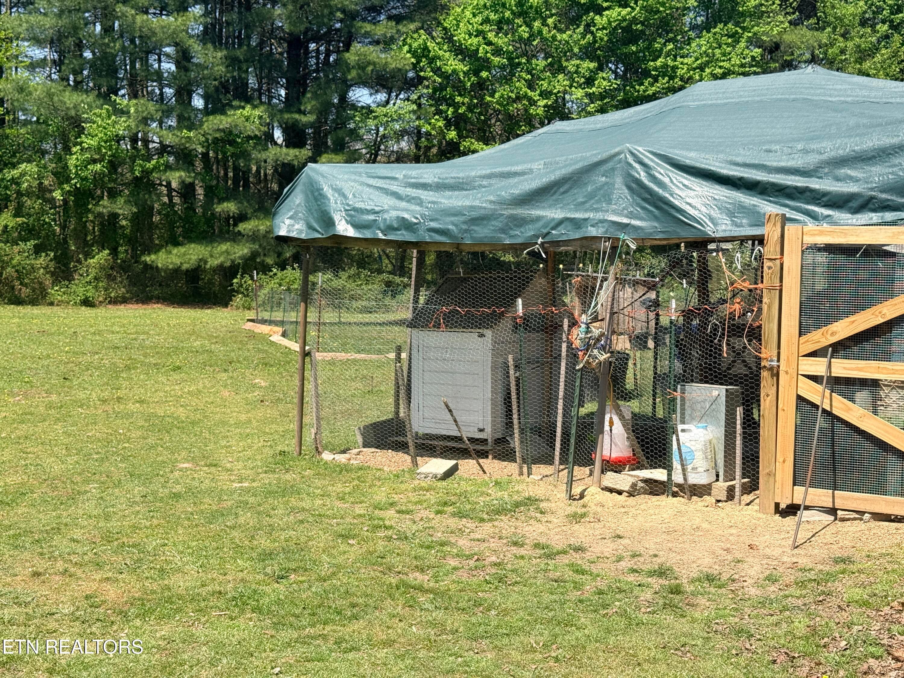 IMG_3839 - 174 Claude Howard Rd, Deer Lodge, TN 37726
