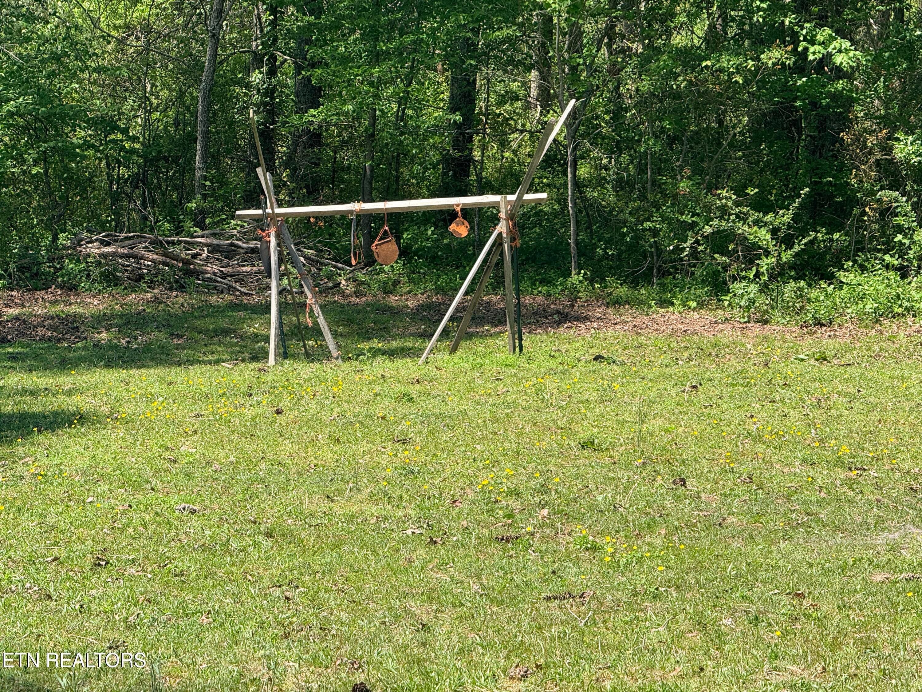 IMG_3851 - 174 Claude Howard Rd, Deer Lodge, TN 37726