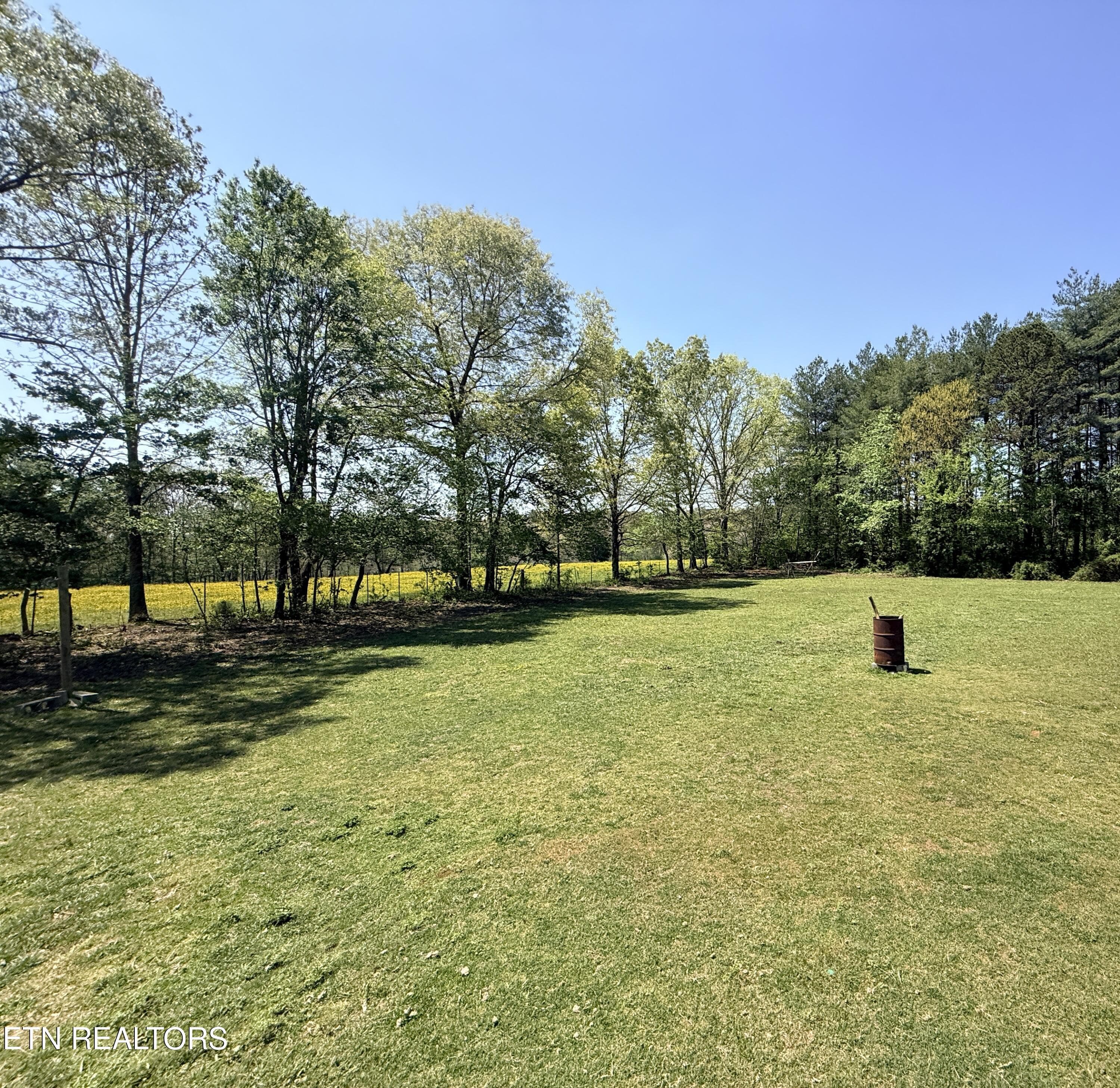 IMG_3917 - 174 Claude Howard Rd, Deer Lodge, TN 37726