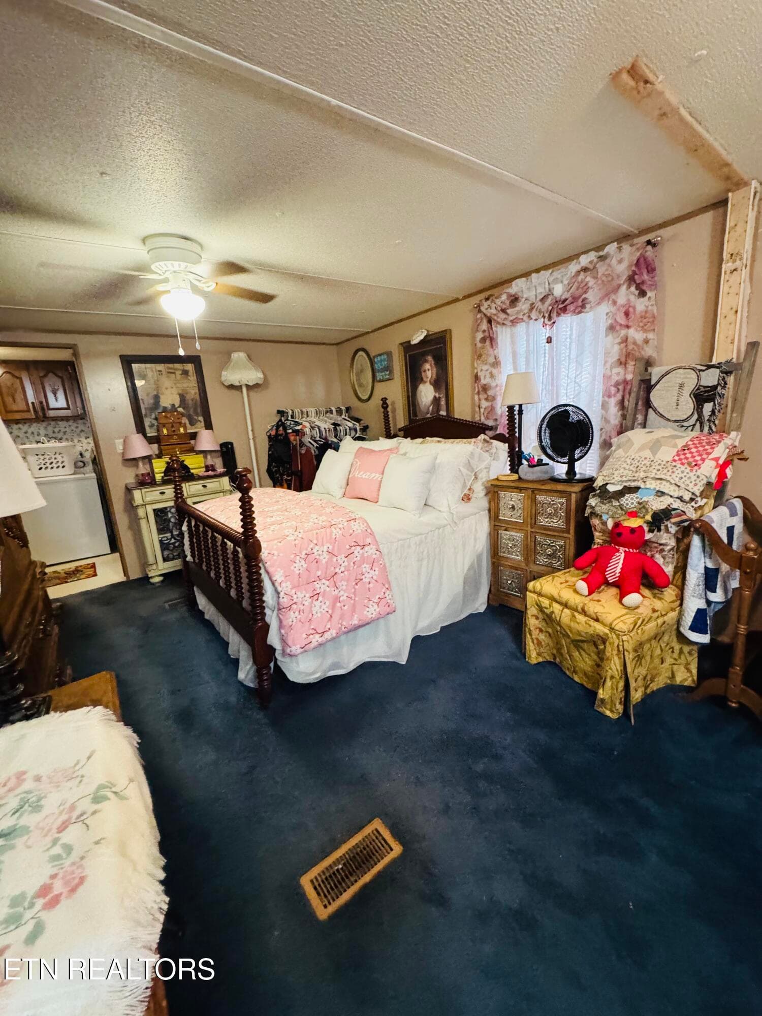 FullSizeRender - 9923 Old Chestnut Ridge Rd, Heiskell, TN 37754