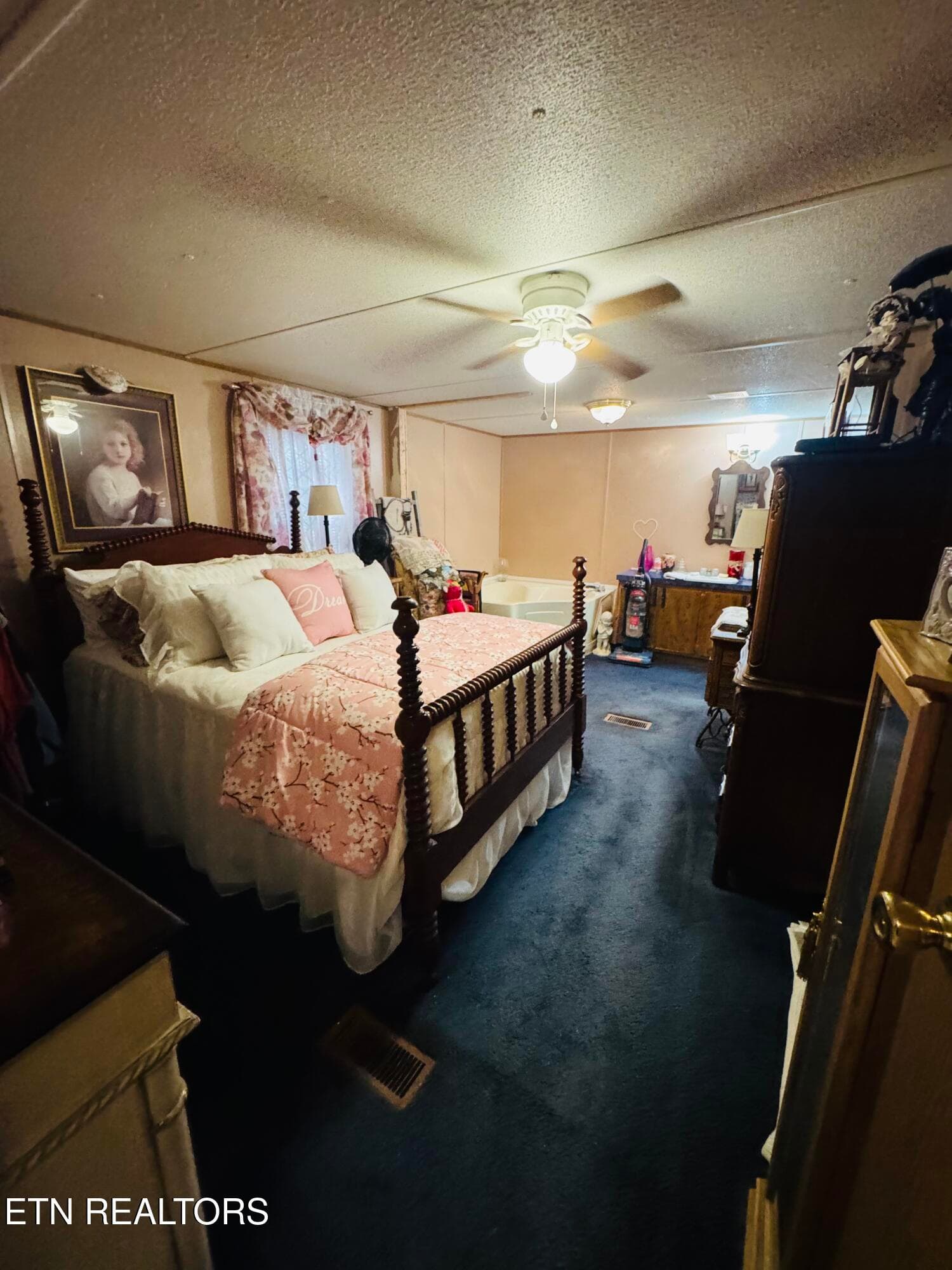 FullSizeRender - 9923 Old Chestnut Ridge Rd, Heiskell, TN 37754