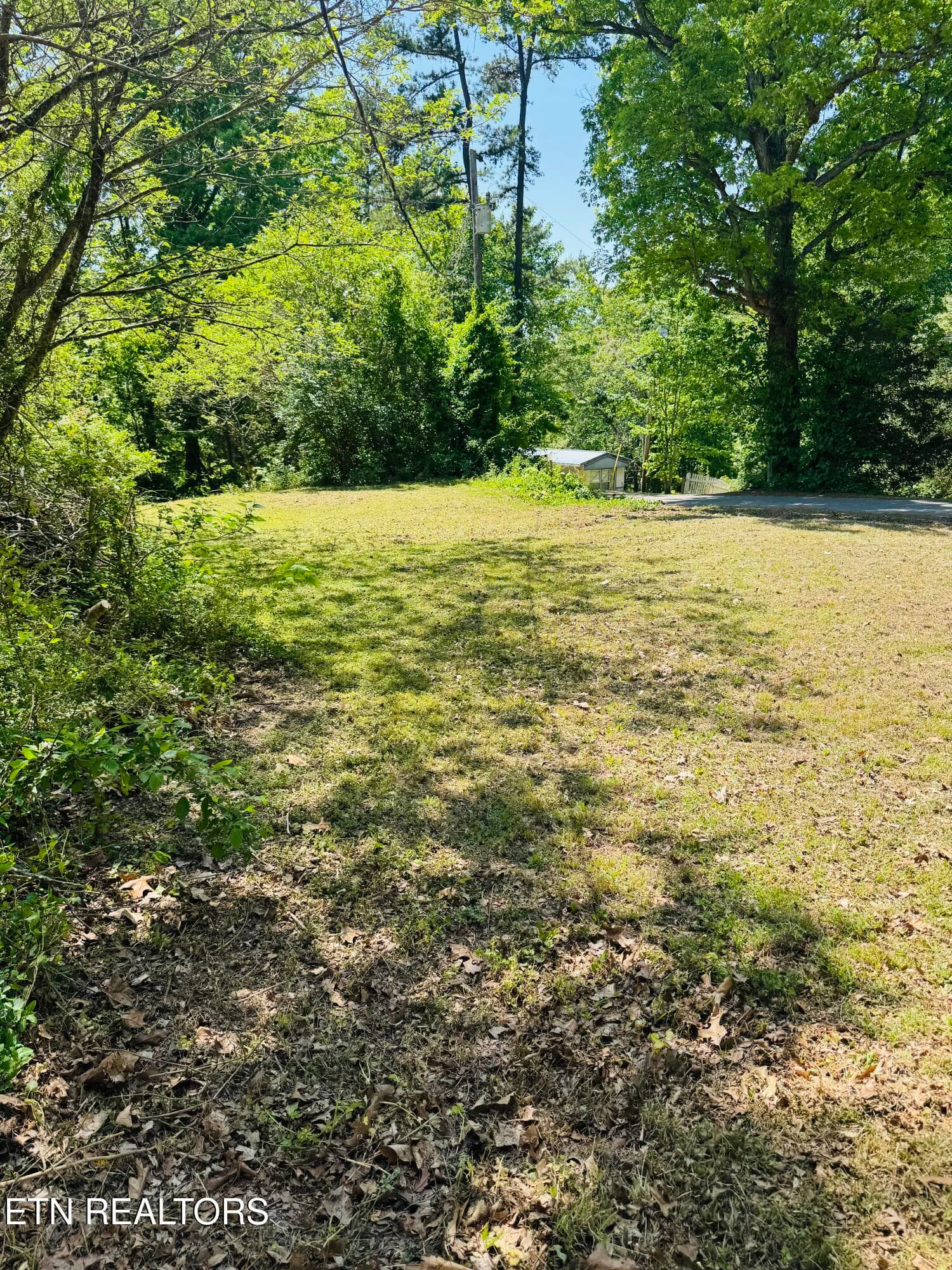 FullSizeRender - 9923 Old Chestnut Ridge Rd, Heiskell, TN 37754