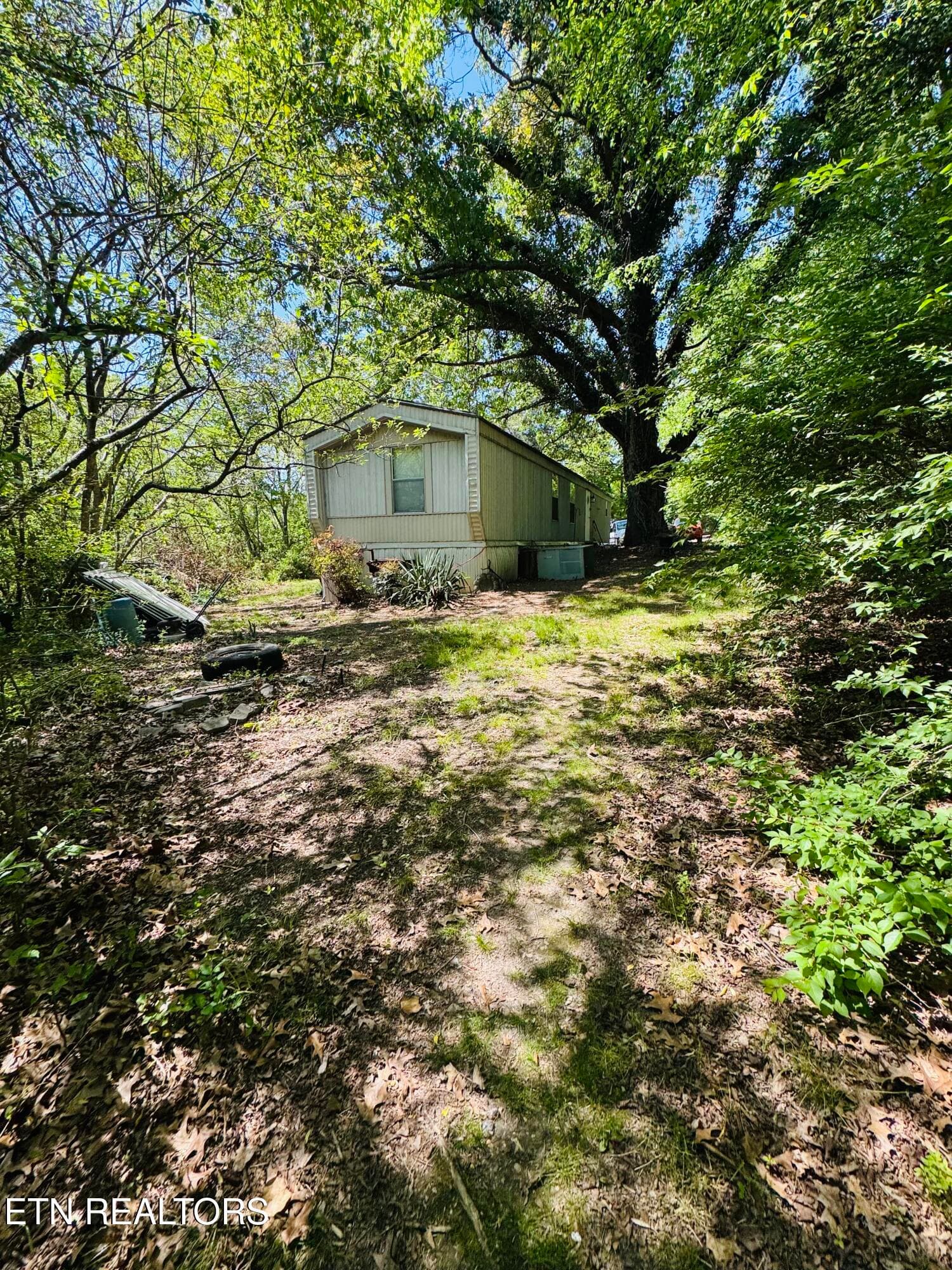 FullSizeRender - 9923 Old Chestnut Ridge Rd, Heiskell, TN 37754