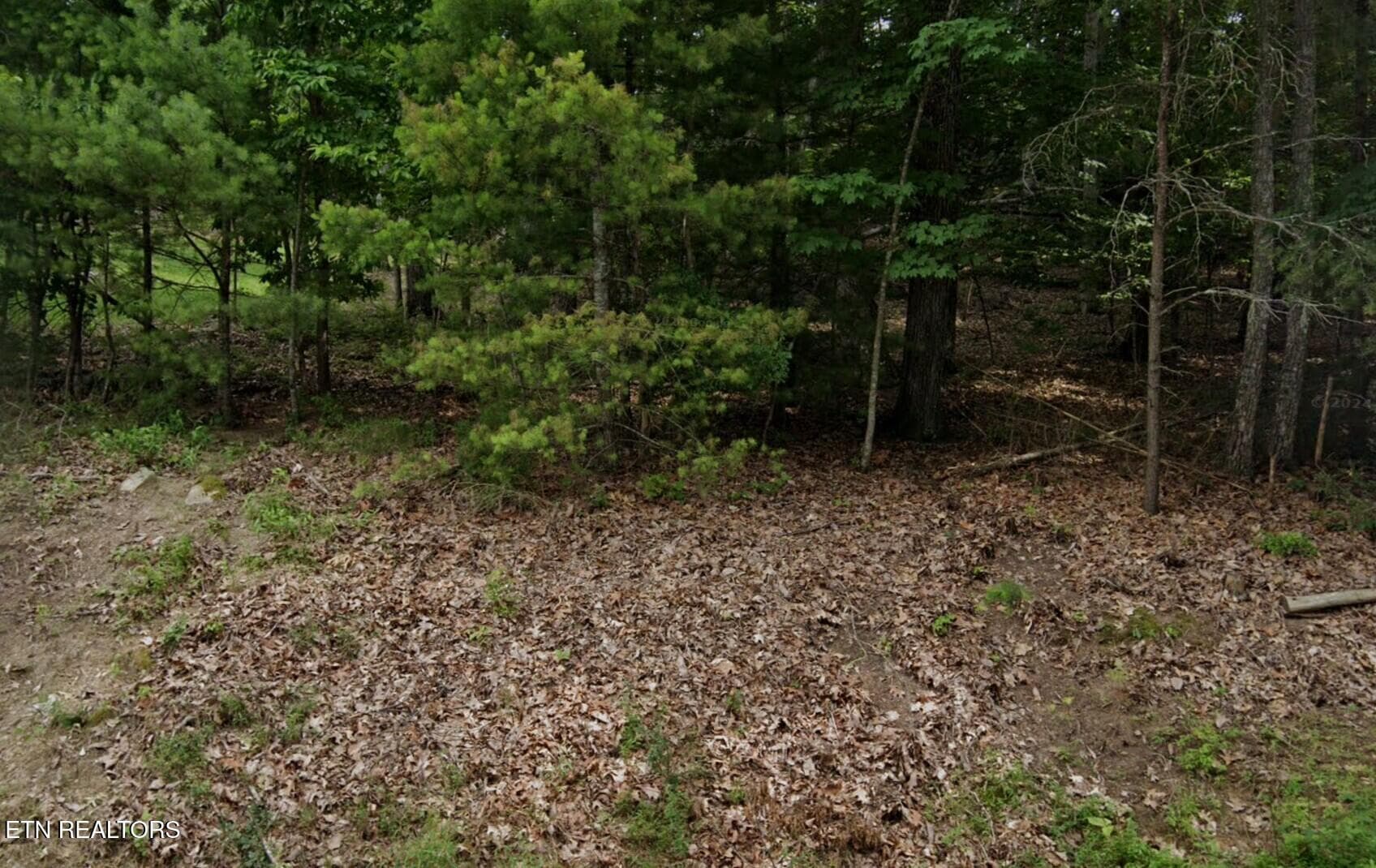 from the street - 36 Markham Terrace, Fairfield Glade, TN 38558