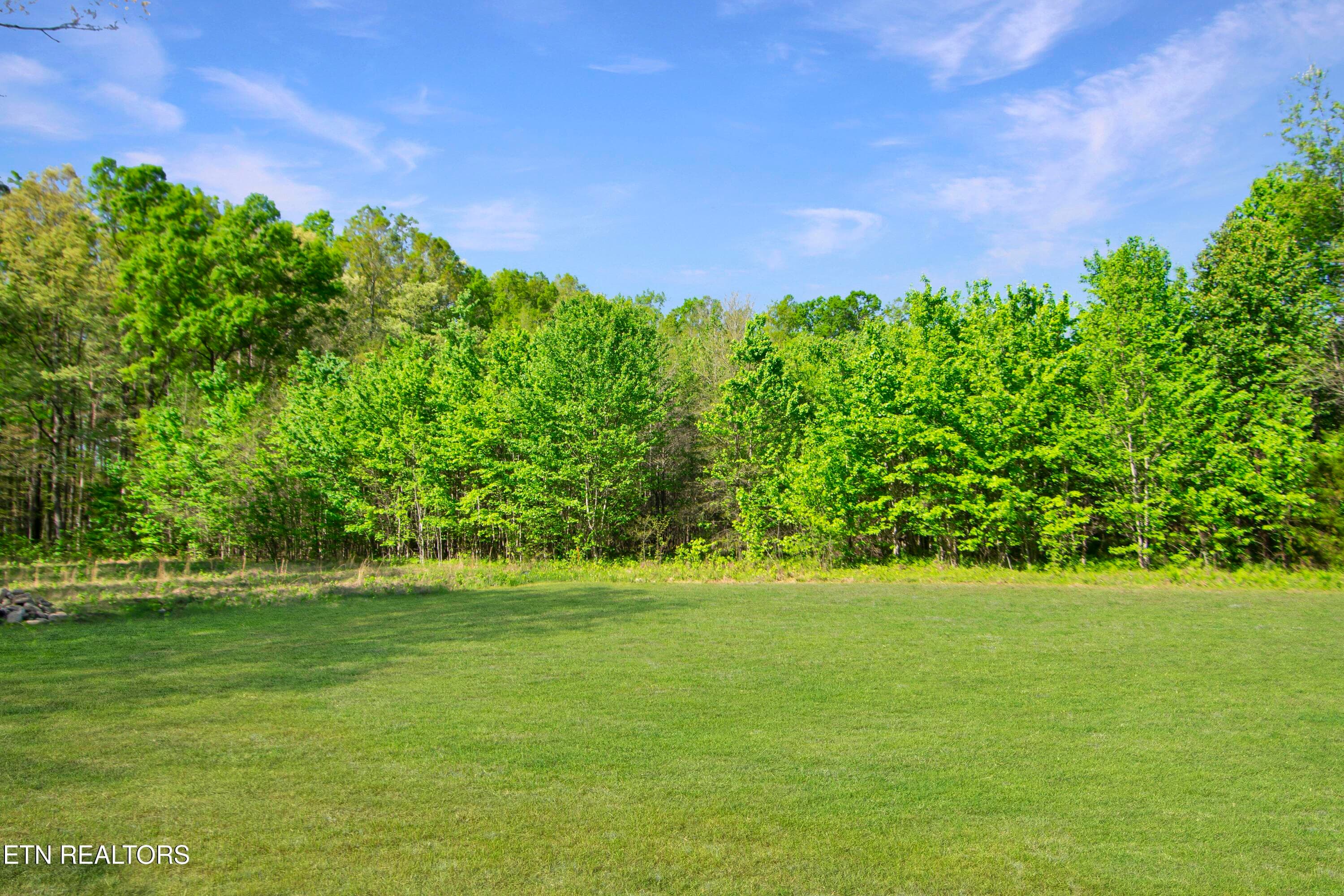 Back Yard - 1050 Rachel Drive, White Pine, TN 37890, White Pine