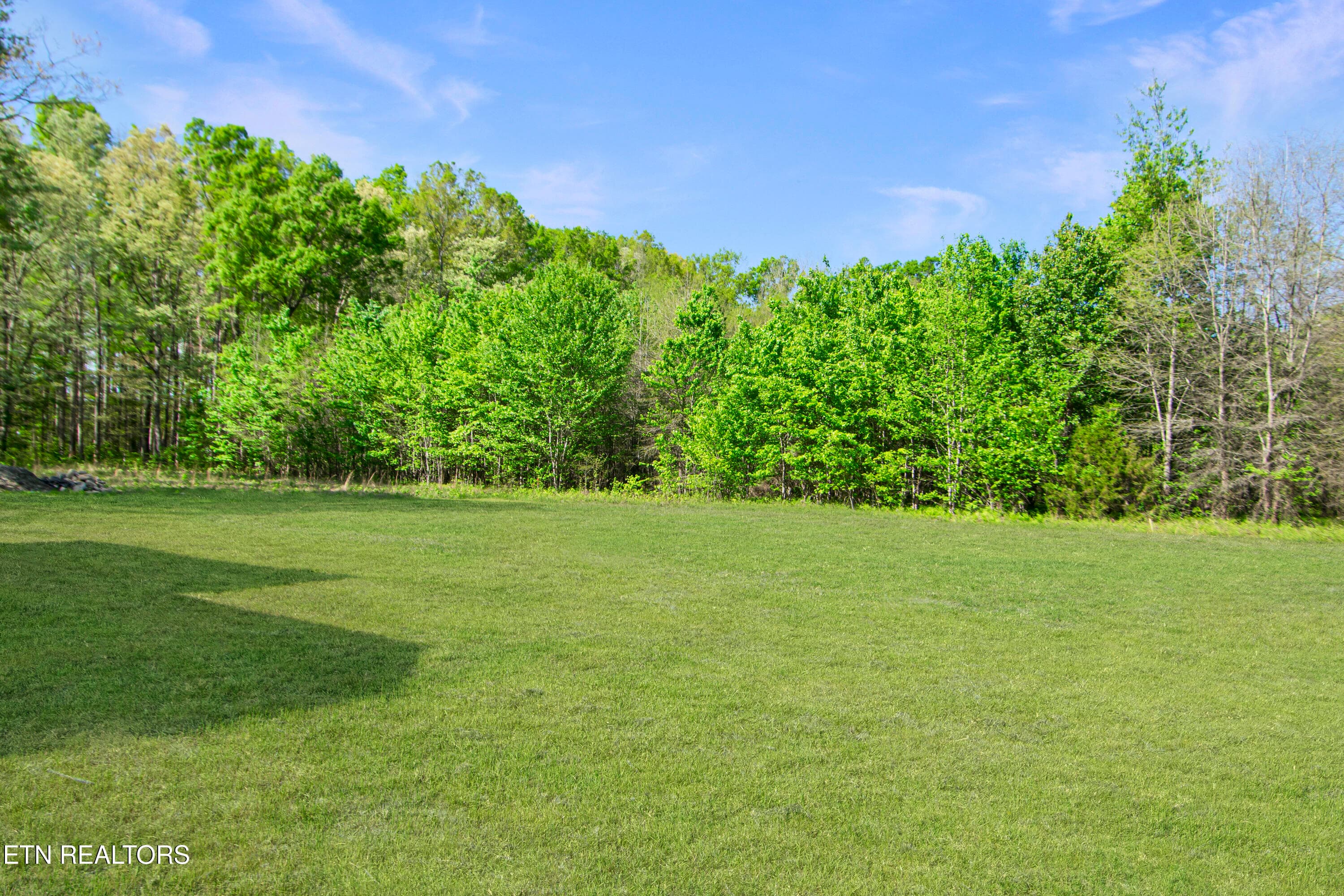 Back Yard - 1050 Rachel Drive, White Pine, TN 37890, White Pine