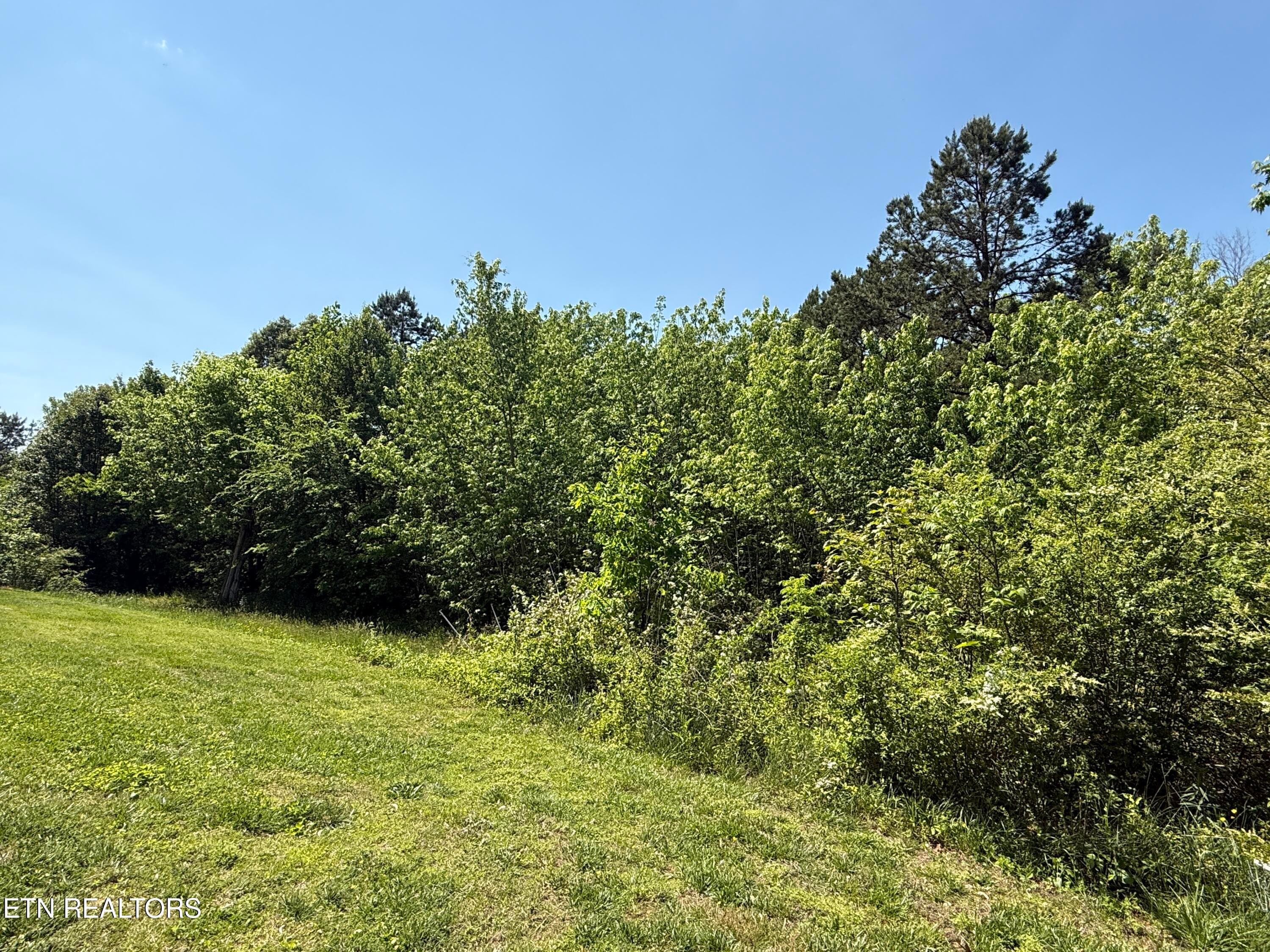 IMG_2086 - 2535 Steekee School Rd, Loudon, TN 37774