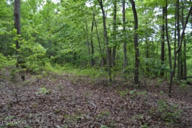Lot 6 Forest Trails Lane, Celina, TN 38551