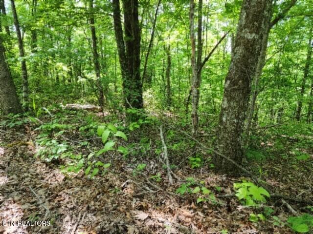 20260425_131727 - Lot 6 Forest Trails Lane, Celina, TN 38551, Celina