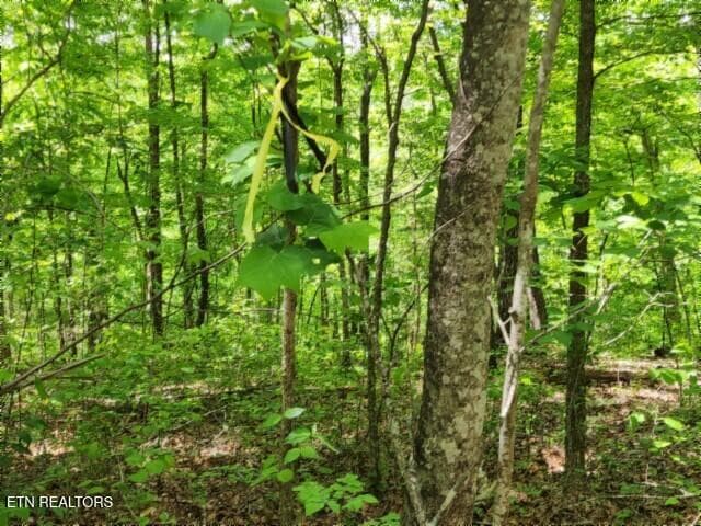 20260425_131756 - Lot 6 Forest Trails Lane, Celina, TN 38551, Celina