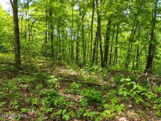 20260425_132142 - Lot 6 Forest Trails Lane, Celina, TN 38551, Celina