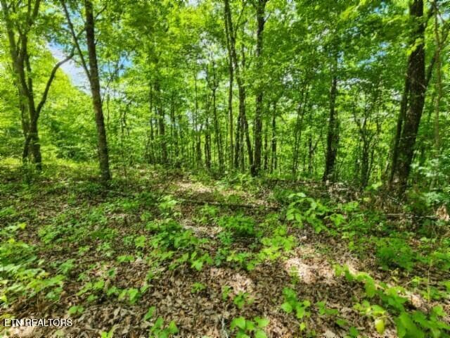 20260425_132147 - Lot 6 Forest Trails Lane, Celina, TN 38551, Celina