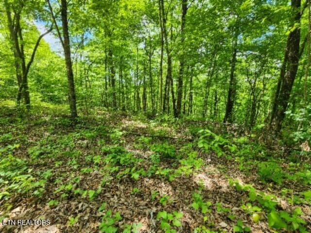 20260425_132150 - Lot 6 Forest Trails Lane, Celina, TN 38551, Celina