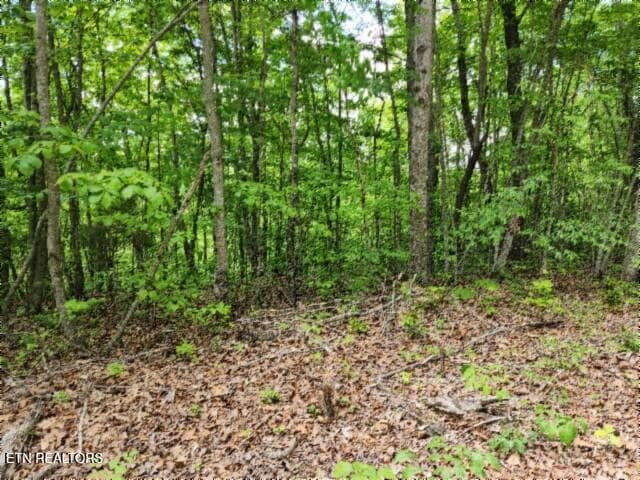 20260425_133210 - Lot 6 Forest Trails Lane, Celina, TN 38551, Celina