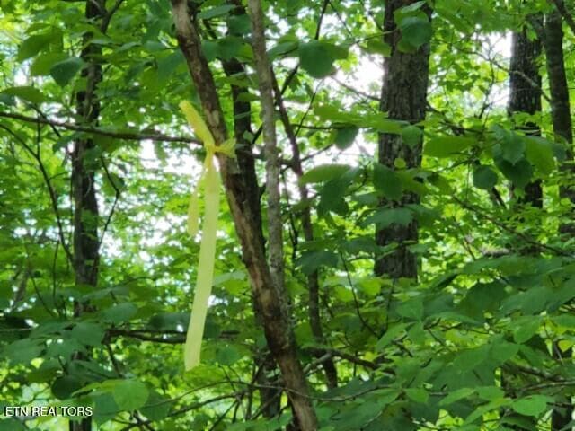 20260425_133240 - Lot 6 Forest Trails Lane, Celina, TN 38551, Celina