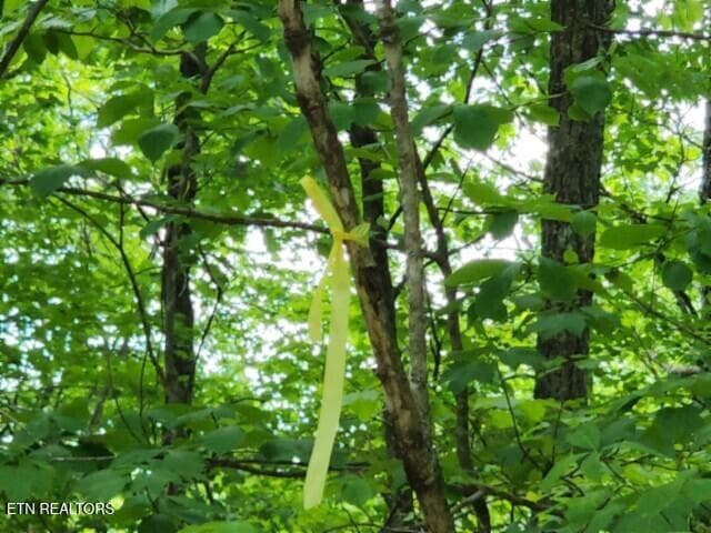 20260425_133242 - Lot 6 Forest Trails Lane, Celina, TN 38551, Celina