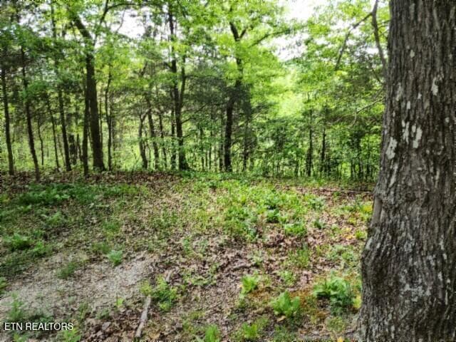 20260425_134449 - Lot 6 Forest Trails Lane, Celina, TN 38551, Celina