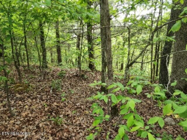 20260425_134500 - Lot 6 Forest Trails Lane, Celina, TN 38551, Celina