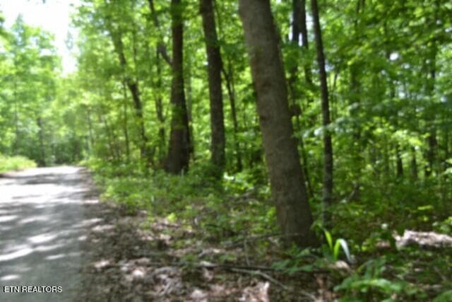 DSC_0004 - Lot 6 Forest Trails Lane, Celina, TN 38551, Celina