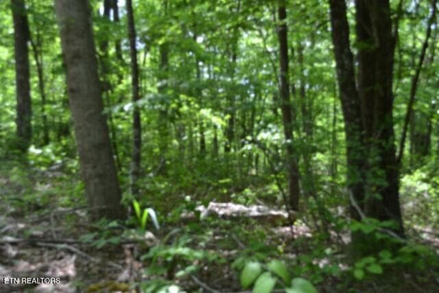 DSC_0005 - Lot 6 Forest Trails Lane, Celina, TN 38551, Celina