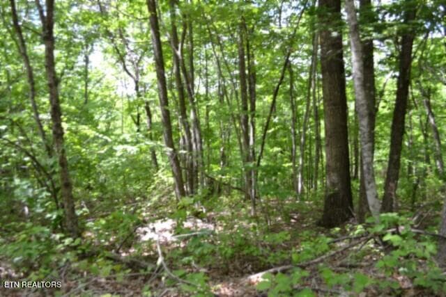 DSC_0006 - Lot 6 Forest Trails Lane, Celina, TN 38551, Celina