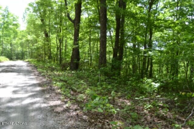DSC_0007 - Lot 6 Forest Trails Lane, Celina, TN 38551, Celina