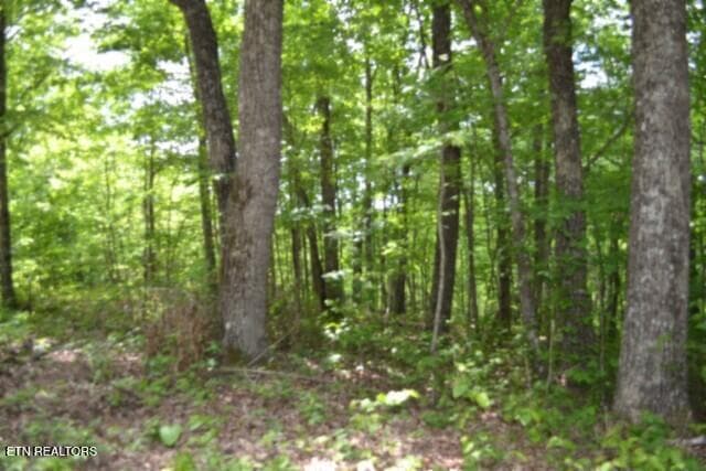 DSC_0008 - Lot 6 Forest Trails Lane, Celina, TN 38551, Celina