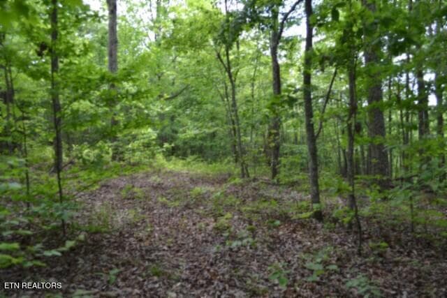 DSC_0009 - Lot 6 Forest Trails Lane, Celina, TN 38551, Celina