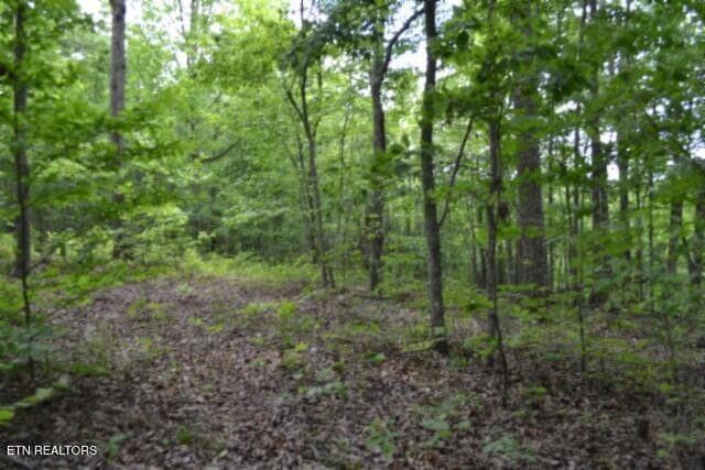 DSC_0010 - Lot 6 Forest Trails Lane, Celina, TN 38551, Celina