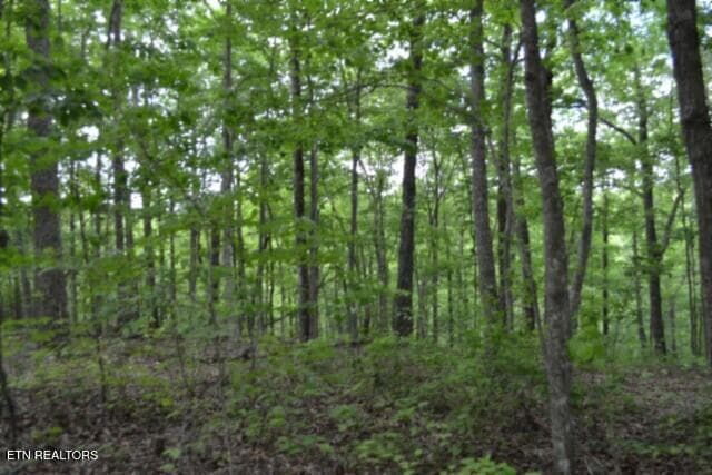 DSC_0011 - Lot 6 Forest Trails Lane, Celina, TN 38551, Celina