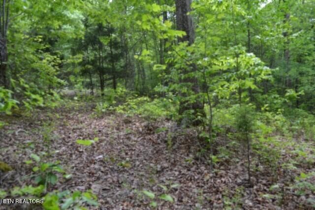DSC_0013 - Lot 6 Forest Trails Lane, Celina, TN 38551, Celina