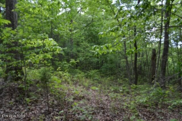 DSC_0014 - Lot 6 Forest Trails Lane, Celina, TN 38551, Celina