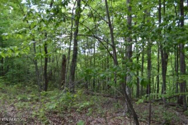 DSC_0015 - Lot 6 Forest Trails Lane, Celina, TN 38551, Celina