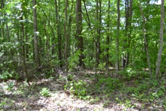 DSC_0016 - Lot 6 Forest Trails Lane, Celina, TN 38551, Celina