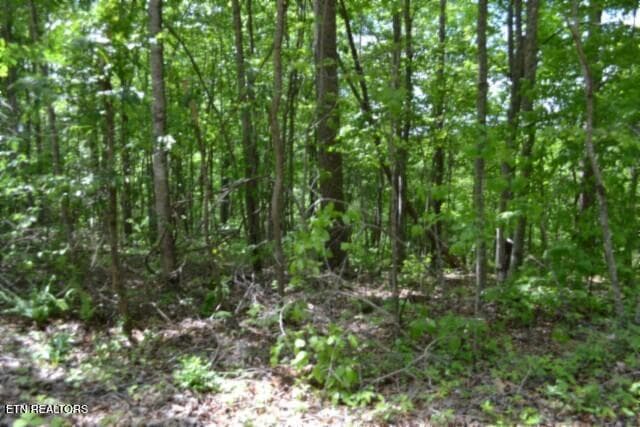 DSC_0019 - Lot 6 Forest Trails Lane, Celina, TN 38551, Celina