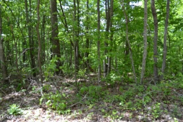 DSC_0020 - Lot 6 Forest Trails Lane, Celina, TN 38551, Celina