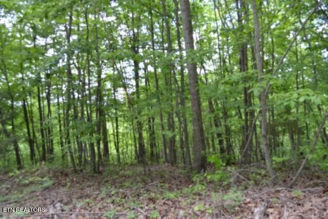 DSC_0022 - Lot 6 Forest Trails Lane, Celina, TN 38551, Celina