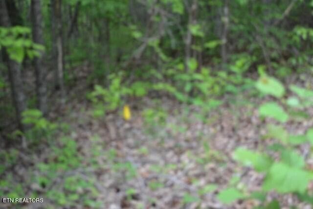 DSC_0024 - Lot 6 Forest Trails Lane, Celina, TN 38551, Celina