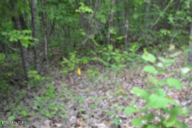 DSC_0025 - Lot 6 Forest Trails Lane, Celina, TN 38551, Celina