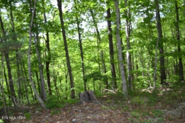 DSC_0052 - Lot 6 Forest Trails Lane, Celina, TN 38551, Celina