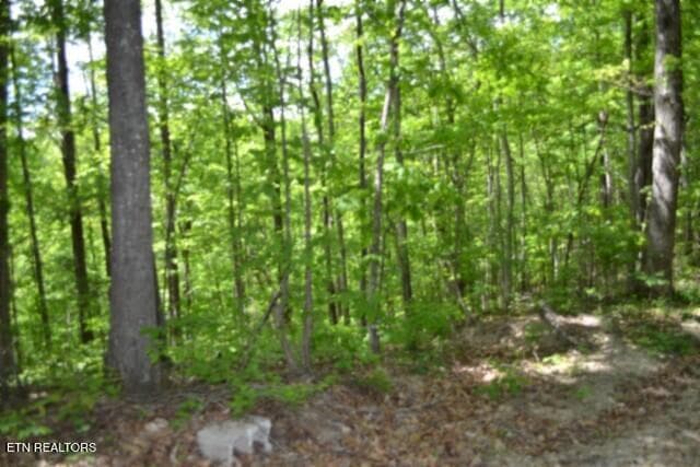 DSC_0054 - Lot 6 Forest Trails Lane, Celina, TN 38551, Celina