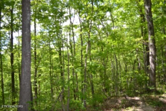 DSC_0055 - Lot 6 Forest Trails Lane, Celina, TN 38551, Celina