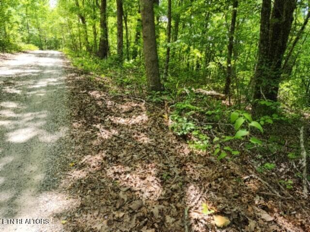 20260425_131723 - Lot 6 Forest Trails Lane, Celina, TN 38551, Celina