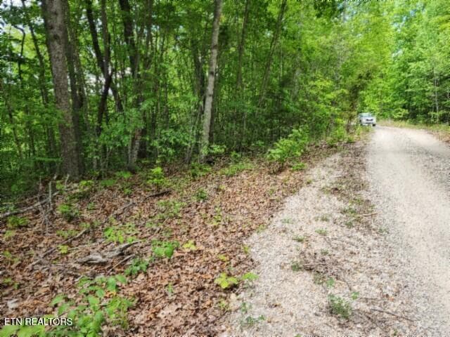 20260425_133216 - Lot 6 Forest Trails Lane, Celina, TN 38551, Celina