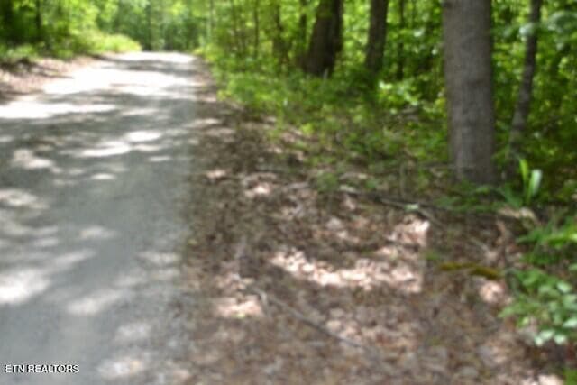 DSC_0003 - Lot 6 Forest Trails Lane, Celina, TN 38551, Celina