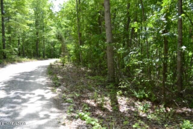 DSC_0017 - Lot 6 Forest Trails Lane, Celina, TN 38551, Celina