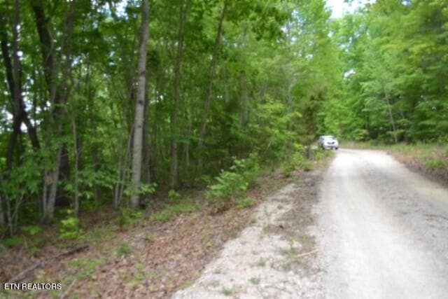 DSC_0023 - Lot 6 Forest Trails Lane, Celina, TN 38551, Celina